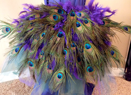 DIY Peacock Costume - Two Sisters