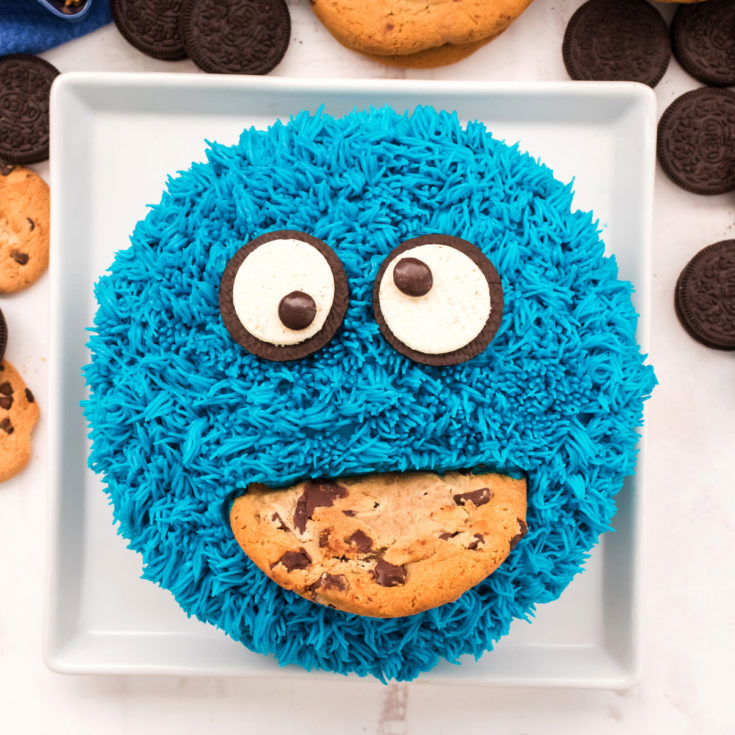 COOKIE MONSTER